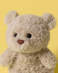 Bartholomew Bear Junior closeup