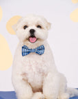 Pet Bow-Tie - Navy Terrier Plaids | The Elly Store