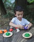 Plan Toys 5 Colours Veggie Set | The Elly Store