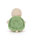 Thimble Turtle
