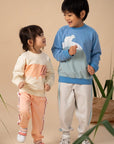 Pullover - Wild Pink Sahara