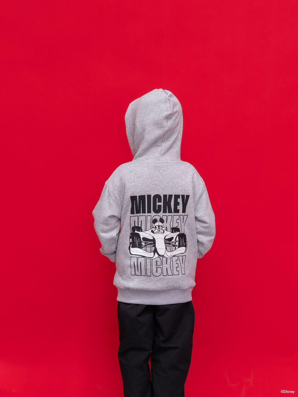 Carey Mickey Hoodie - Grey back