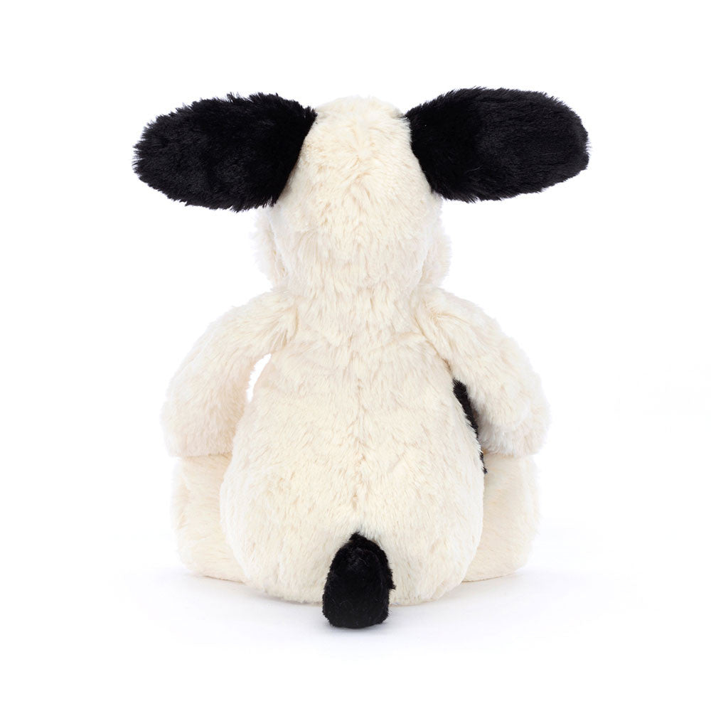 Bashful Black and Cream Puppy