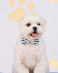 Pet Bow-Tie - Paw Stripes | The Elly Store