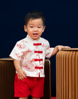 Tang Shirt - Red Campfire Dragon