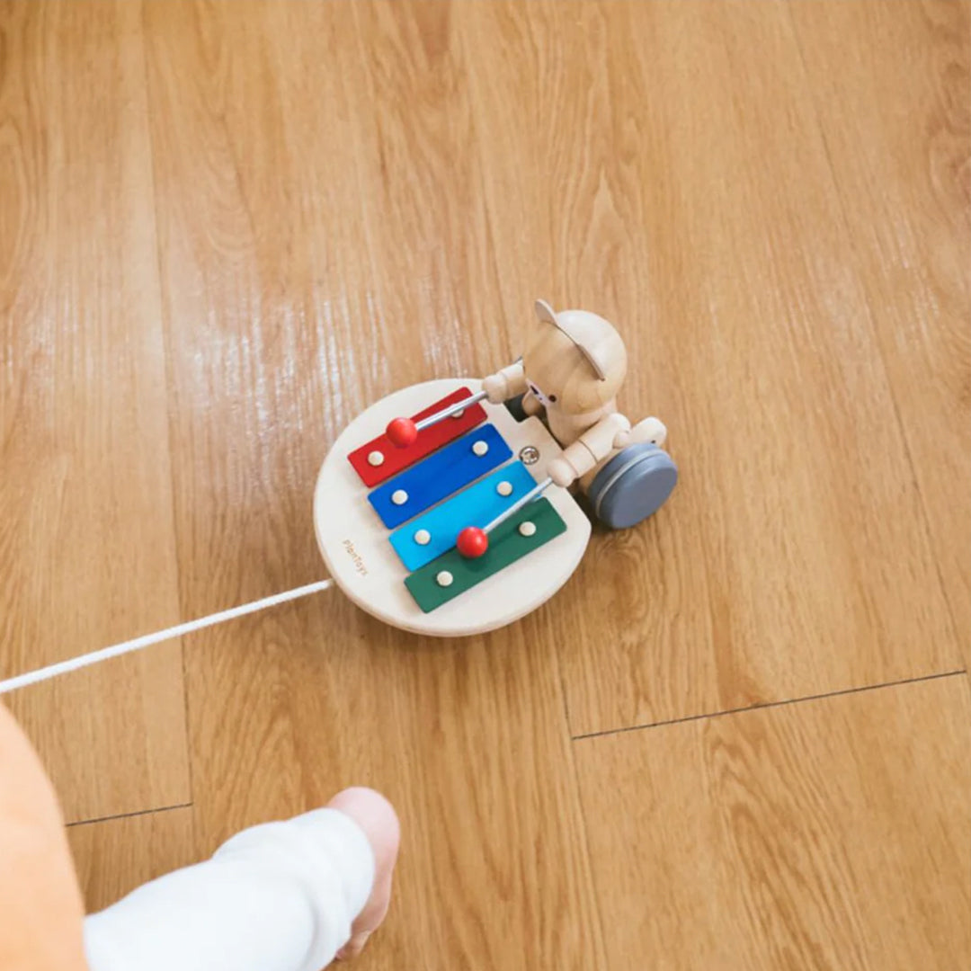 Pull-Along Musical Bear