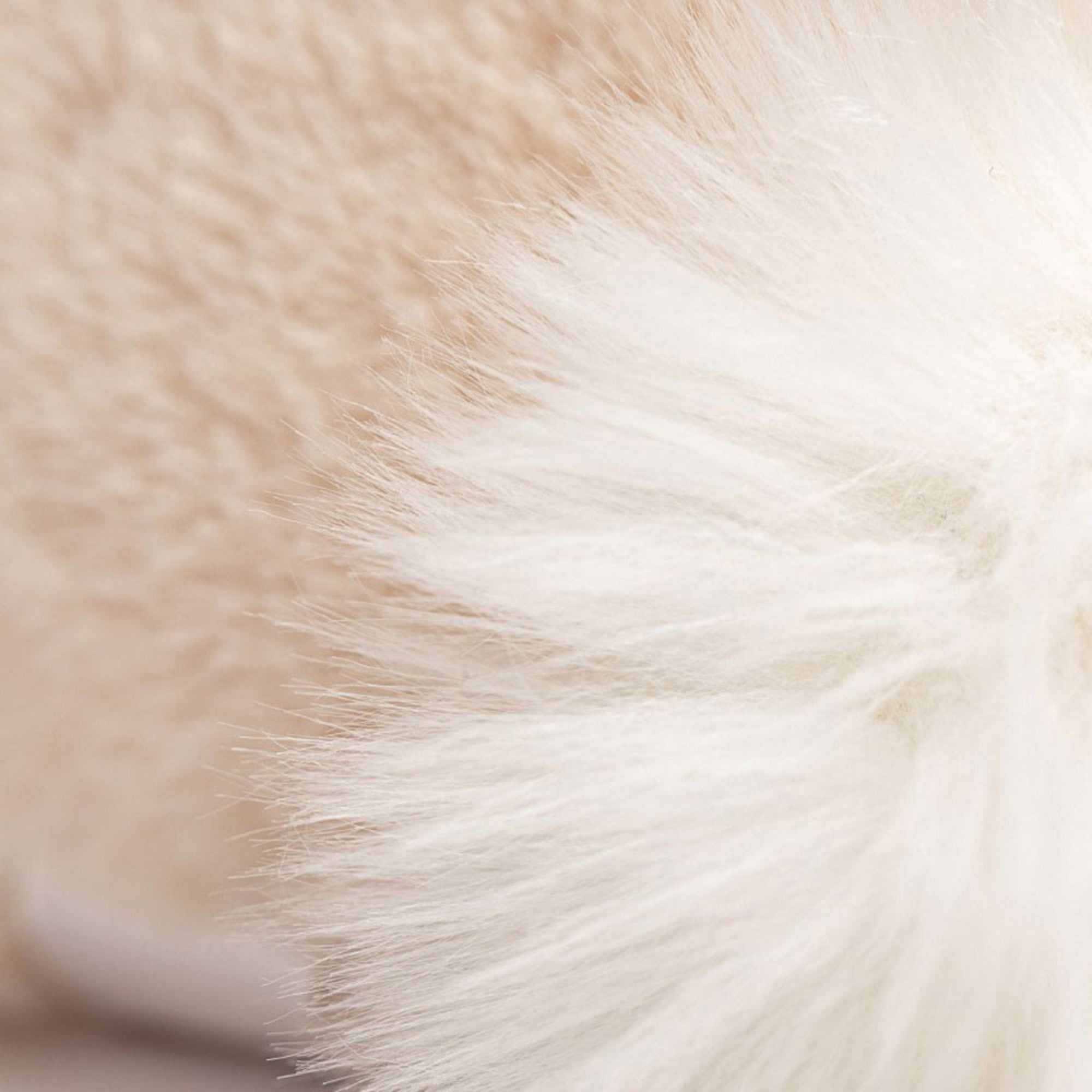 Jellycat Bashful Luxe Bunny Willow | The Elly Store 
