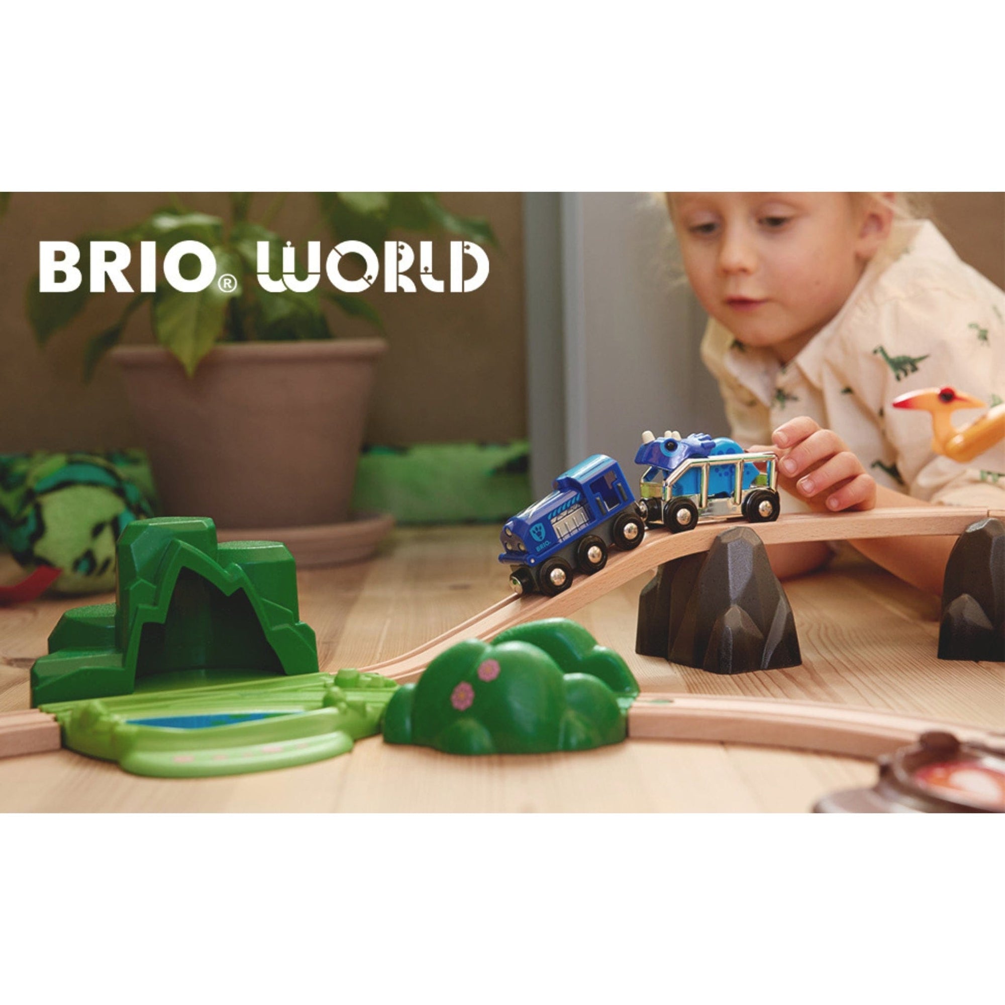 BRIO | 2025 Special Edition Train | The Elly Store
