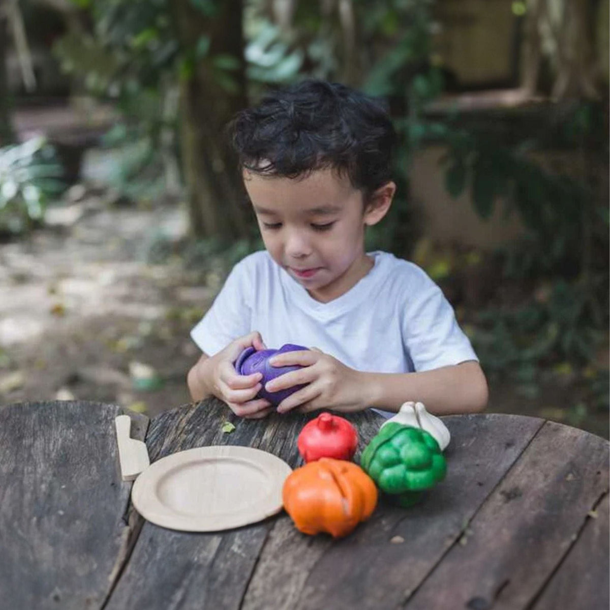 Plan Toys 5 Colours Veggie Set | The Elly Store 