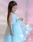 Wren Dress - Elsa's Castle | The Elly Store 