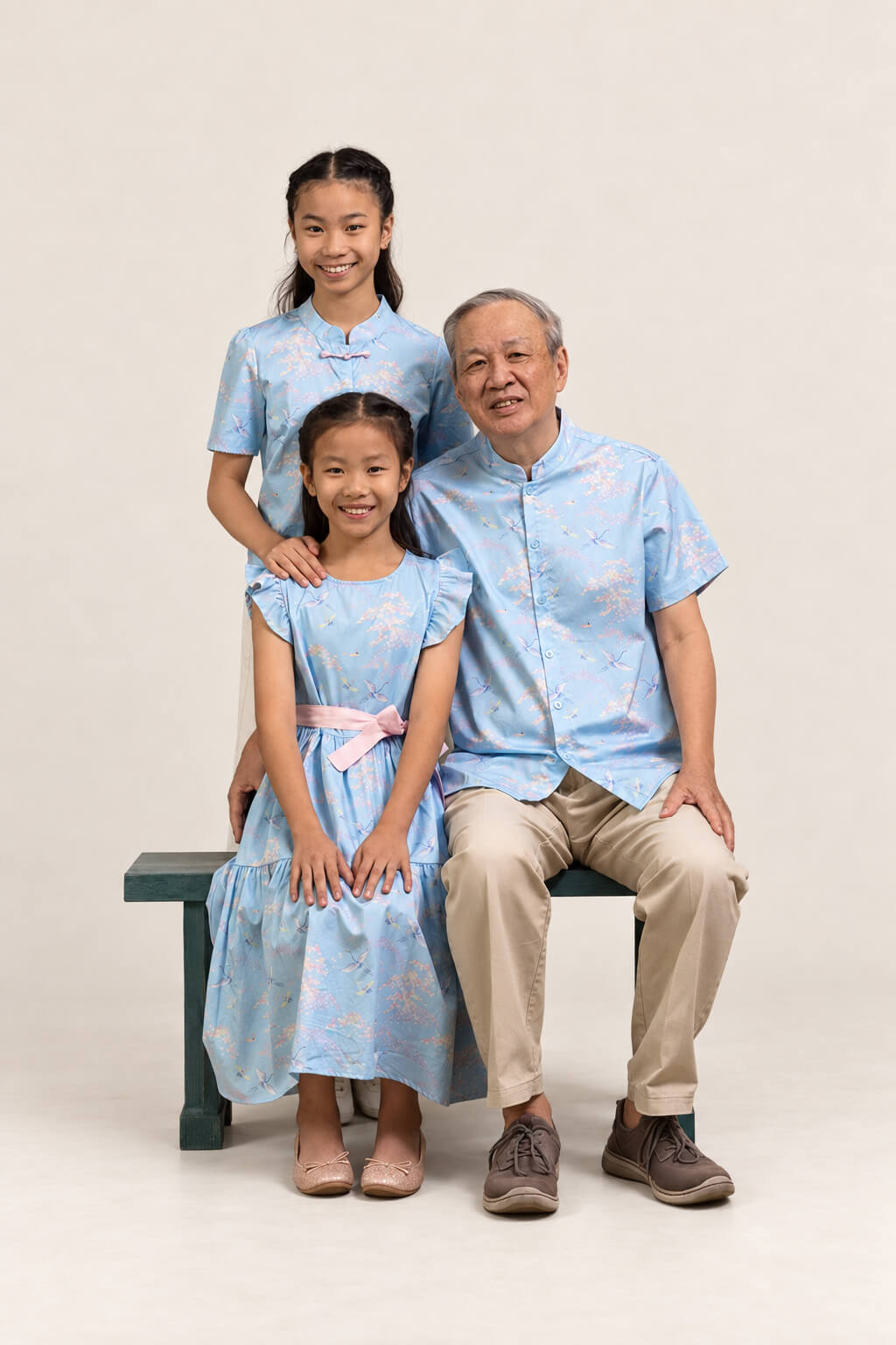 Blair Dress - Blue Cranes family