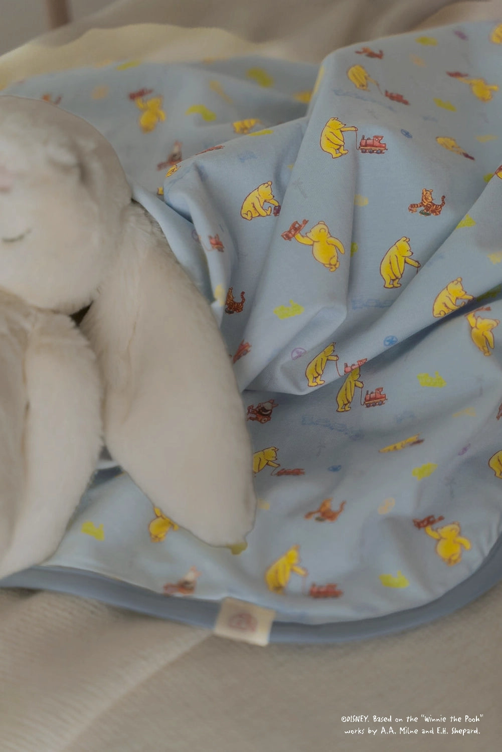 Jersey Blanket - Blue Trains Pooh