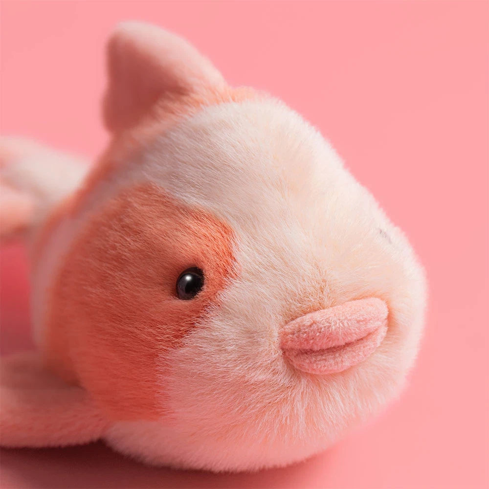 Close-up 