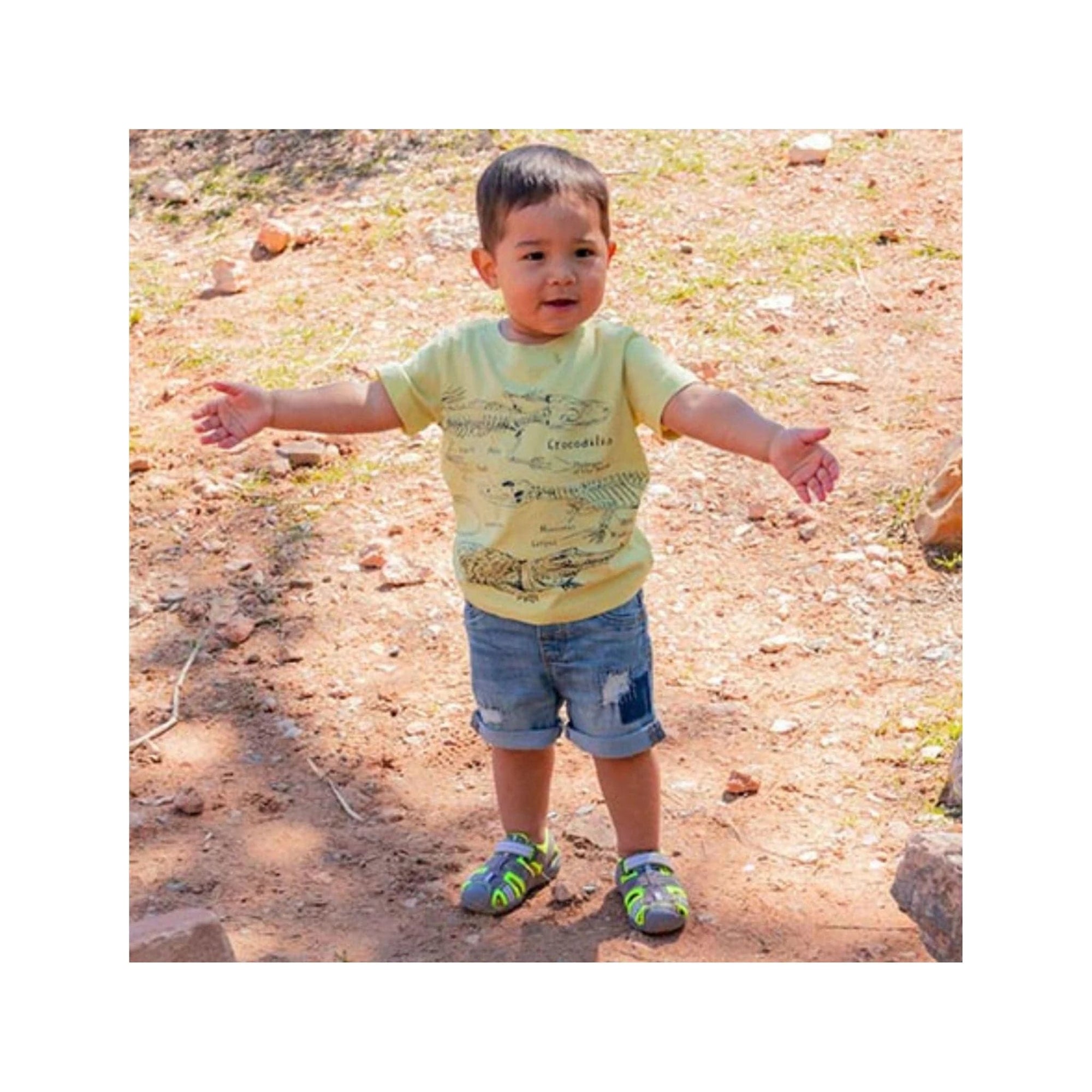 Pediped Flex Sahara Grey Lime Adventure Sandals