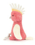 Squawkatoo