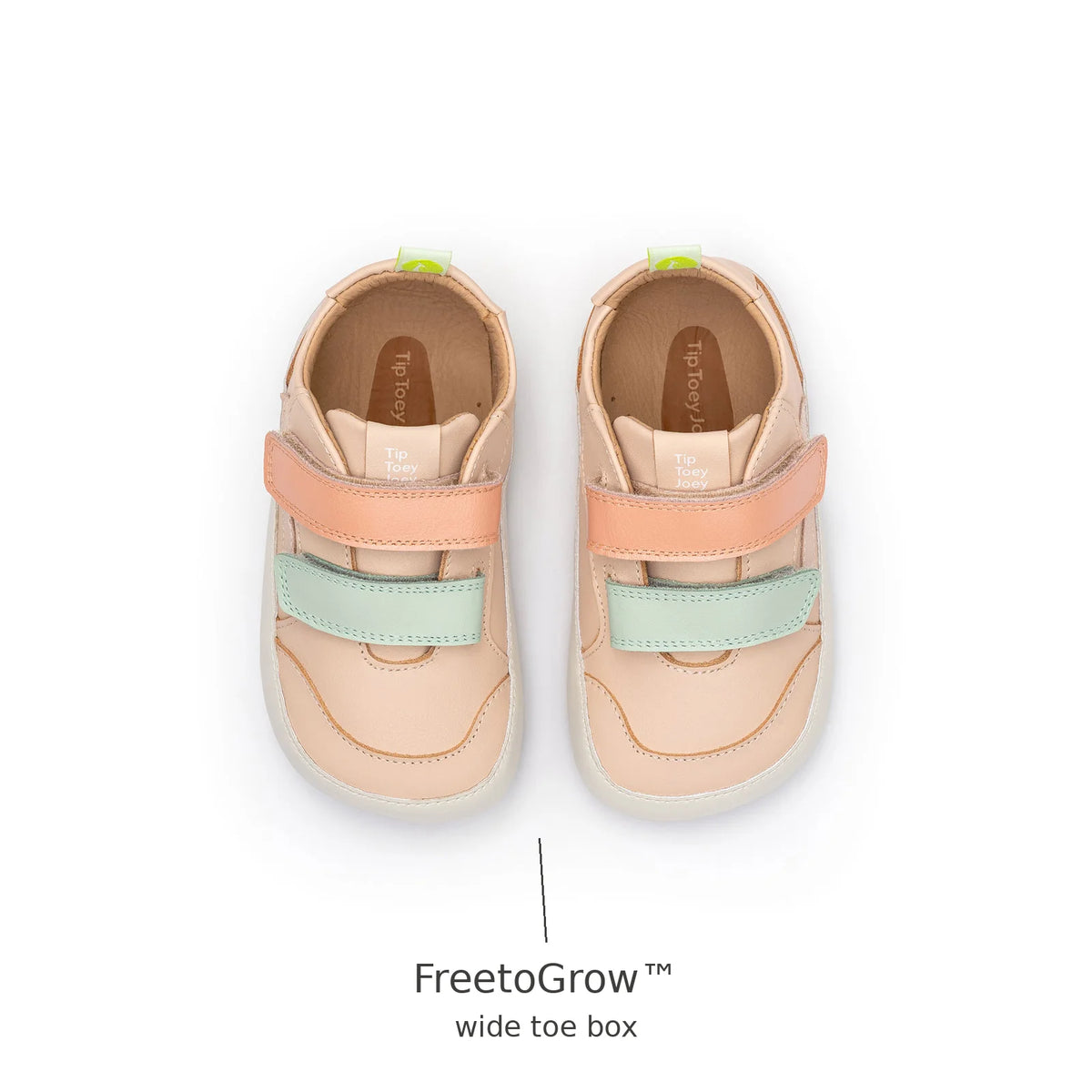 Top view of Tip Toey Joey Landy Sneakers in Papaya Cream / Mint / Flamingo showing the wide FreetoGrow toe box