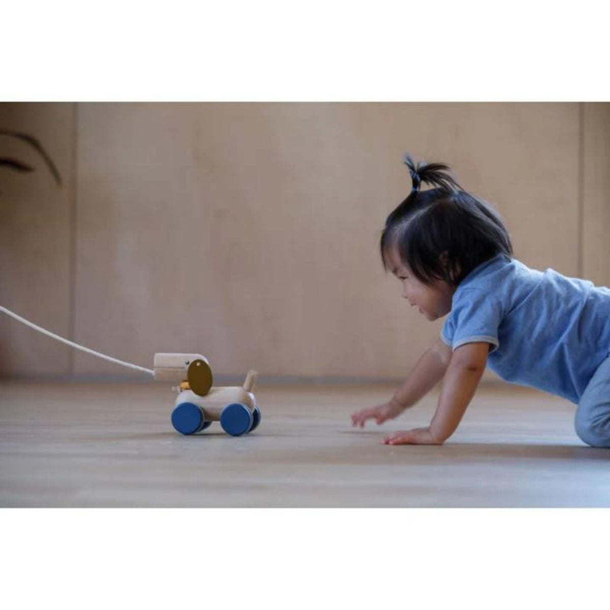 Plan Toys Push and Pull Puppy
